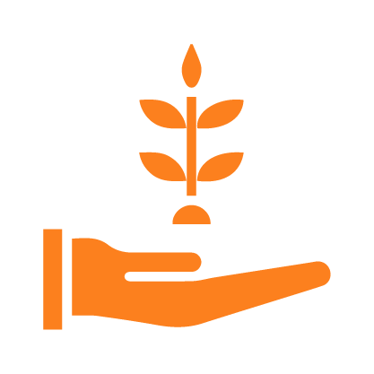 Future Skills and Sustainability